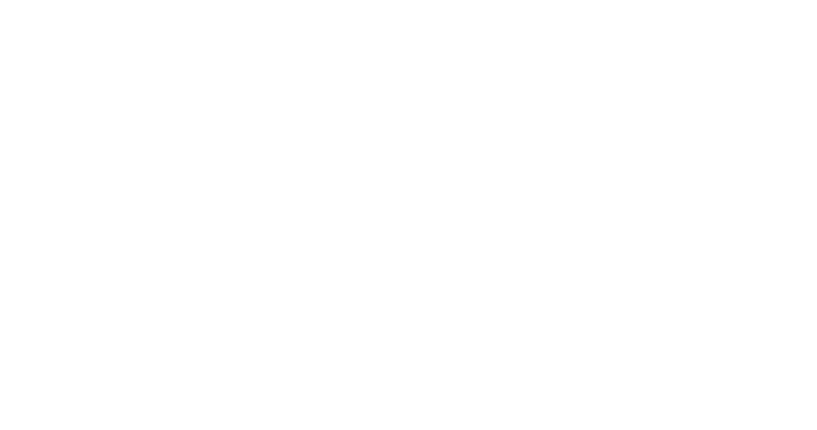 Netzr